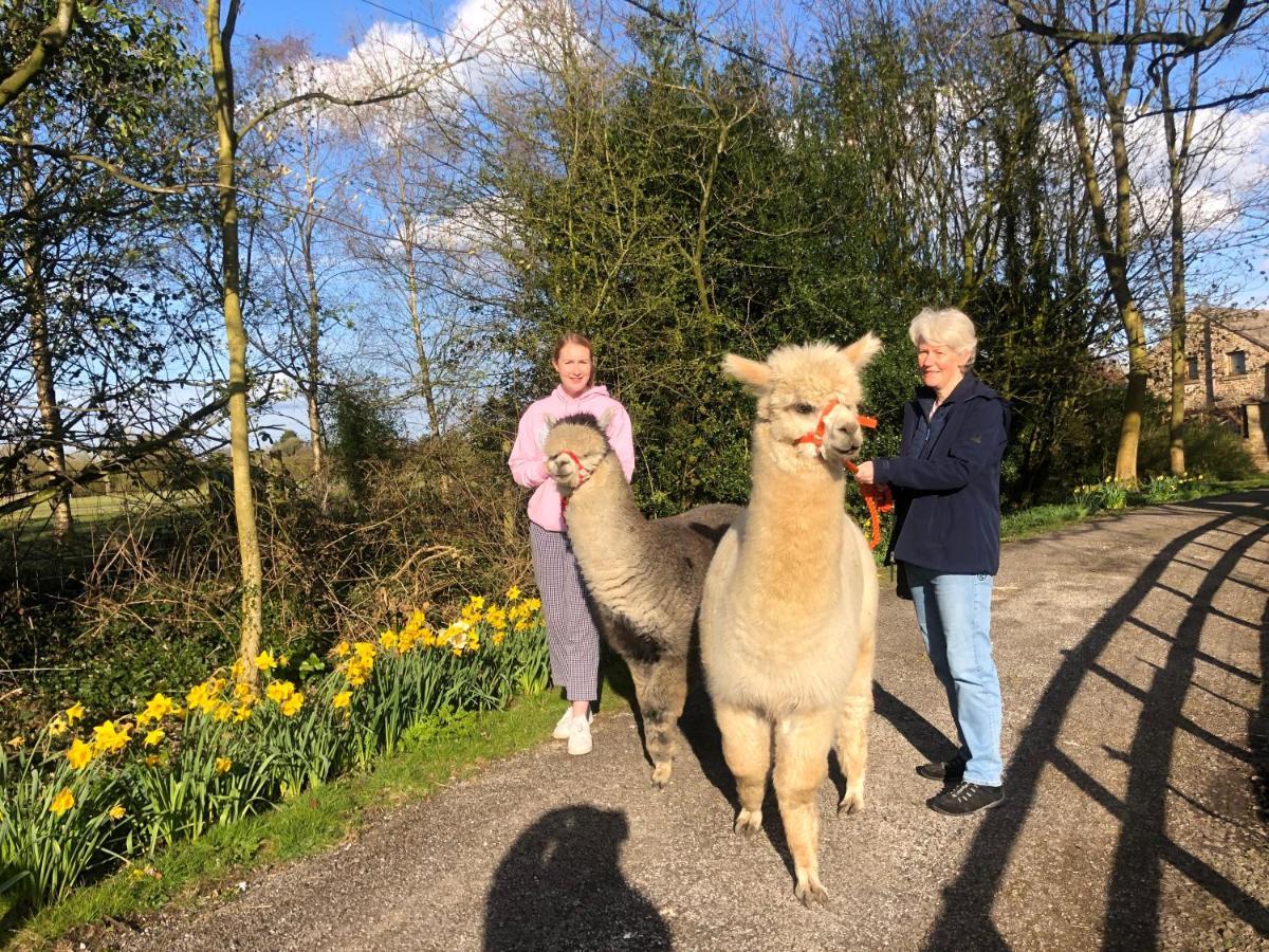 Willa Alpaca Fold Preston  Zewnętrze zdjęcie