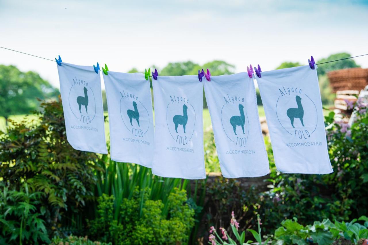 Willa Alpaca Fold Preston  Zewnętrze zdjęcie