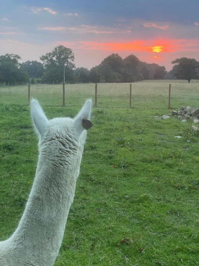 Willa Alpaca Fold Preston  Zewnętrze zdjęcie